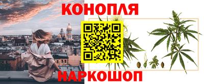 гашишное масло Гай
