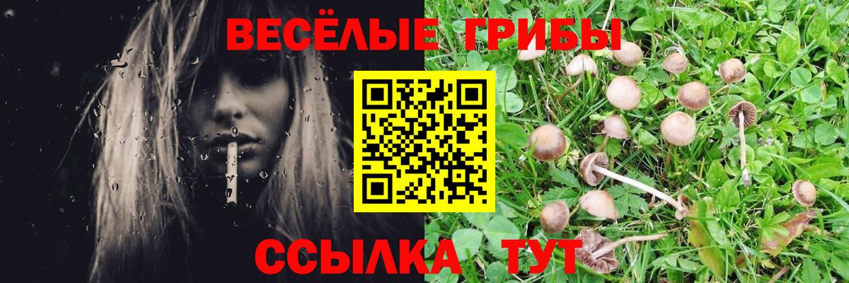 Псилоцибиновые грибы GOLDEN TEACHER Клинцы