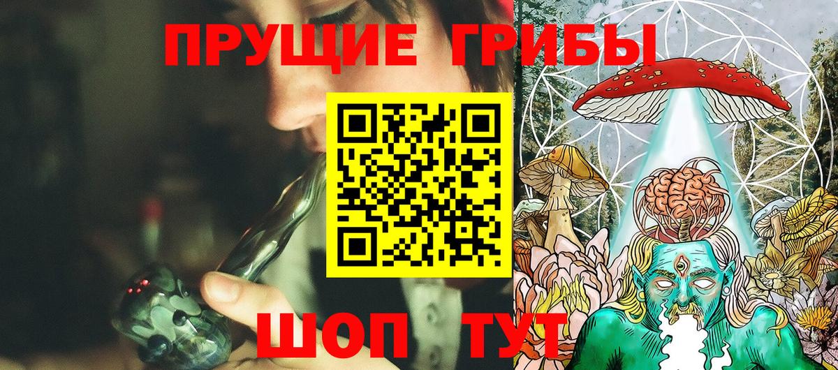 Галлюциногенные грибы Psilocybe  Псилоцибиновые грибы мицелий  Вход с VPN  Клинцы 