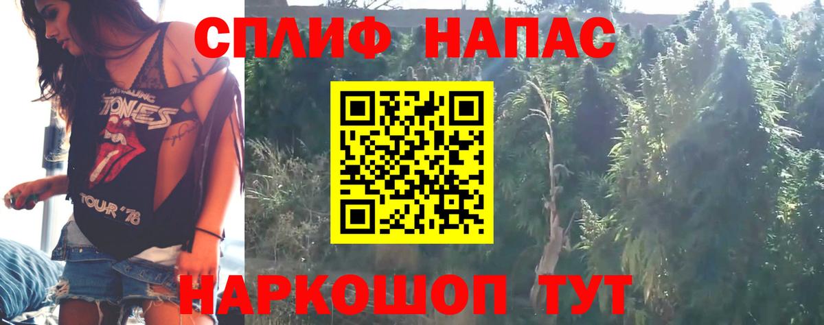 Бошки Шишки планчик Клинцы